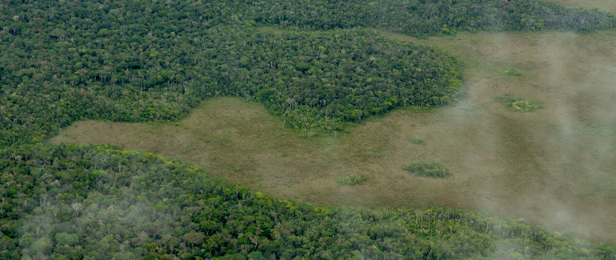 aerial view of deforestation of Amazon
