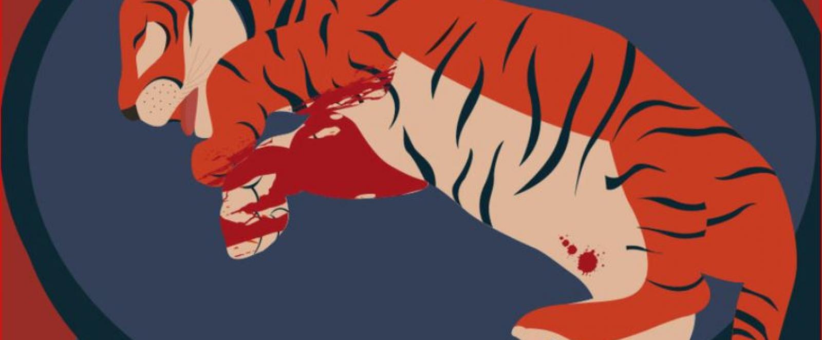 illustration of a trafficked tiger