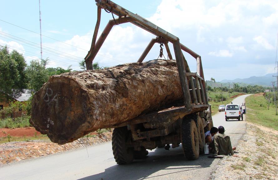 a tree trunk being transported by truck 