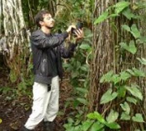 Interactive Mapping Project in the Amazon Region Begins