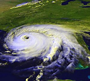 Hurricanes and Cyclones