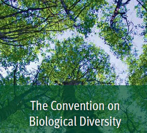 UN Convention on Biological Diversity