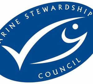 Seafood Certification and Fleet Revision