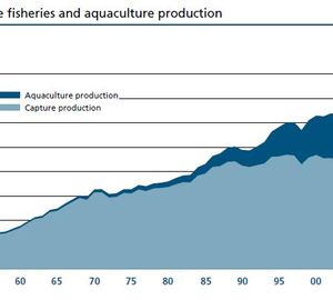 Aquaculture and Mariculture:  Scarcity Breeds Abundance