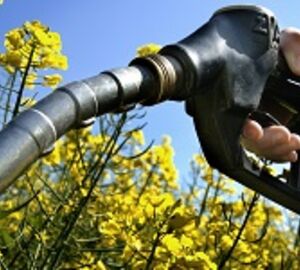 Biofuels and Biochar