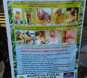 Images of women absent from posters on safe tobacco growing