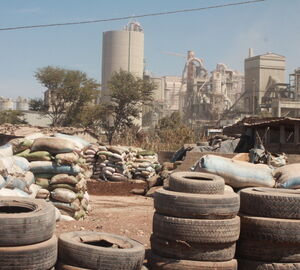 SENEGAL: Usines de fabrication de farine et d’huile de poisson: Mal de mer !