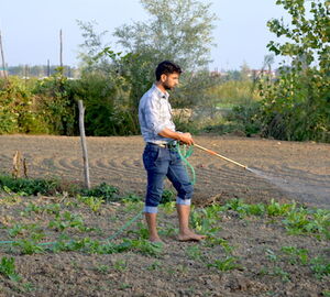 Young Kashmiri farmers turn water-wise to adapt to climate change