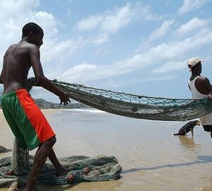 SIERRA LEONE: Fish for cash: How the EU robs Africa of its seafood