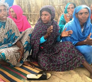 Songs and sanctions help regreen Sudan's desert villages