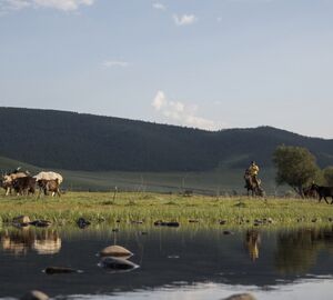 Climate change collectives on the Mongolian steppe