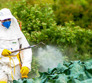 The developing world is awash in pesticides. Does it have to be?