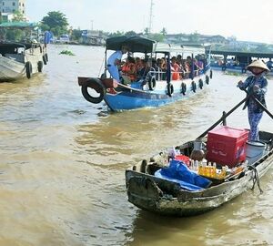 Major Study Warns Planned Dams May Severely Harm Mekong Delta
