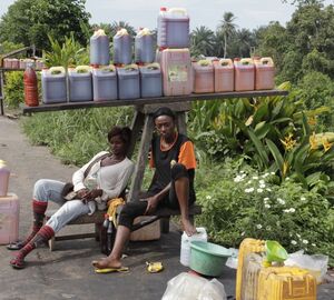 Industrial Palm Oil in Congo Basin: Are Countries Ready?