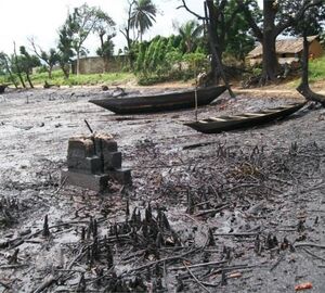 Stakeholders step up moves to conserve Niger Delta’s biodiversity