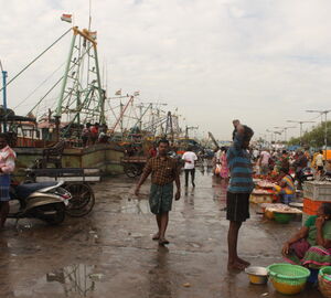 Fishmarket in Thoothoor
