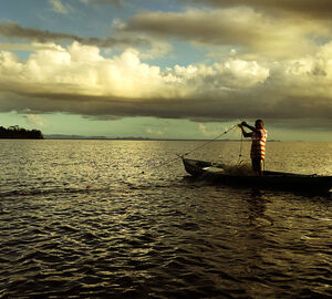Fisherman in Amatique Bay