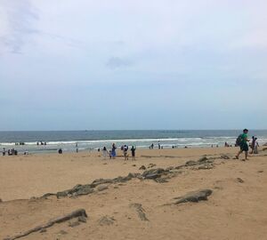Puducherry beach