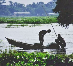 Men fishing in Bangladesh