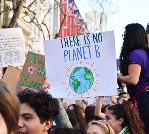 a person holding a sign that says "no planet b" during a climate protest
