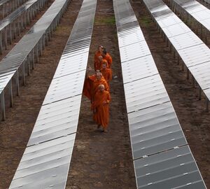 Monks walk between solar panels