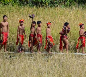 children from an Indigenous community in a field