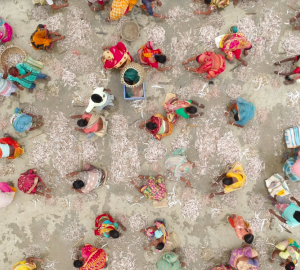 aerial photo of fish market in West Bengal