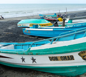 fishing boats on the shore