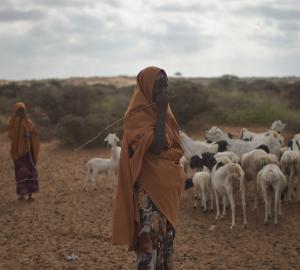 pastoralists with their herd of goats