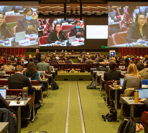 Delegates meeting in a conference hall at the United Nations to negotiate biodiversity issues.