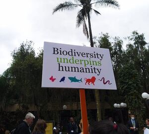 A demonstrator's sign with the words "Biodiversity underpins humanity" 