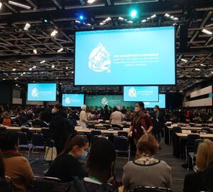 multiple screens at cop15 opening ceremony