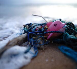Pink toy stuck into a fish net on a beach 