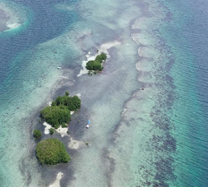 Aerial view of an island