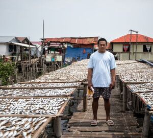 A fisherman stands between long lines of tables with catches of fish laid out