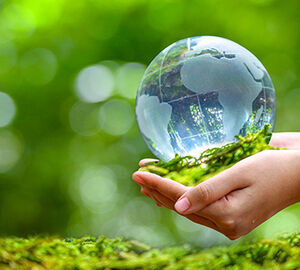 A glass globe being held by a pair of hands among trees.