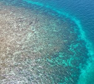 a panoramic view of a reef coral area in Belize