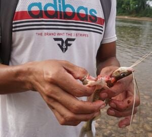 Man holds fish in his hands