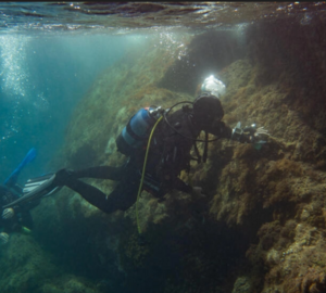 underwater image of a diver installing an underwater thermometers on a coral