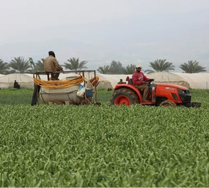 farmers in a field on farming equipment