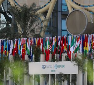 A row of country flags on display outdoors with a sign that says "United Nations Climate Change" and "COP28 UAE"