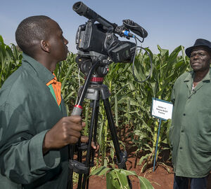 Journalist interviews a man while standing in a cornfield