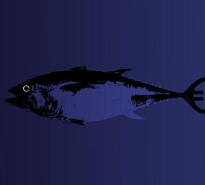 blue drawing of a tuna