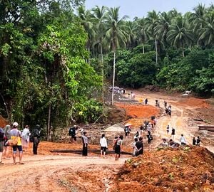 People walking on a mud road in a forest