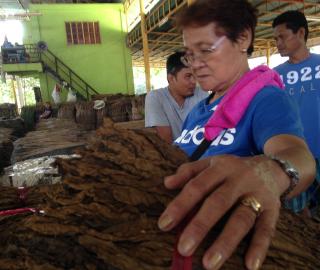 Part 1: Romancing storms, worms and leaves; growing tobacco in the shadow of environmental perils in the Philippines
