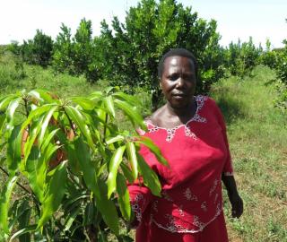 How one women’s group is fighting climate change in Uganda