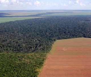 New Stanford Model Can Reveal Globalization’s Effects On The Amazon