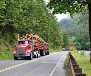 UN treaty could boost Appalachian tree project