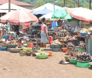 Mabeta smoked fish market in Southwest Cameroon