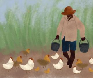 poultry farmer illustration